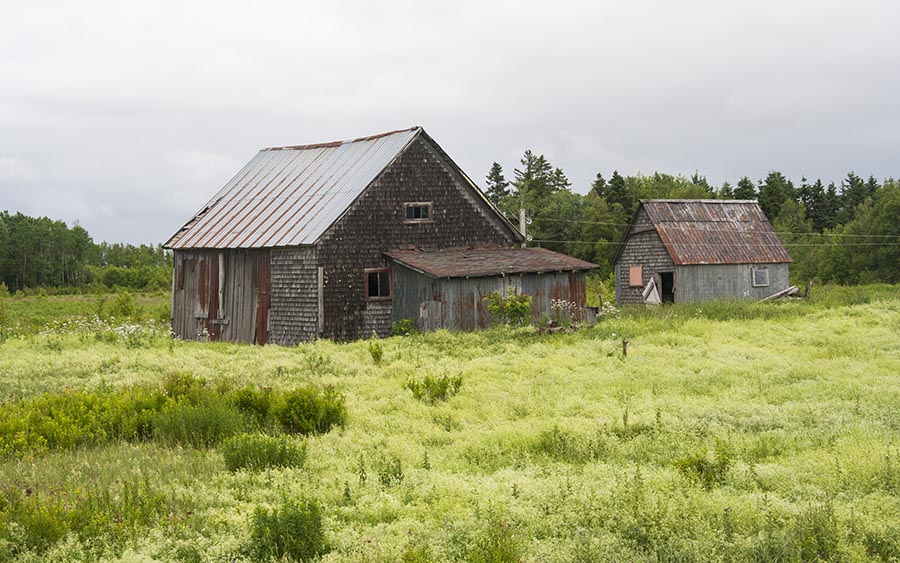 Old Barn in Field of Chartreuse